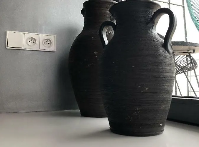 Apartment Wiejska 9 *